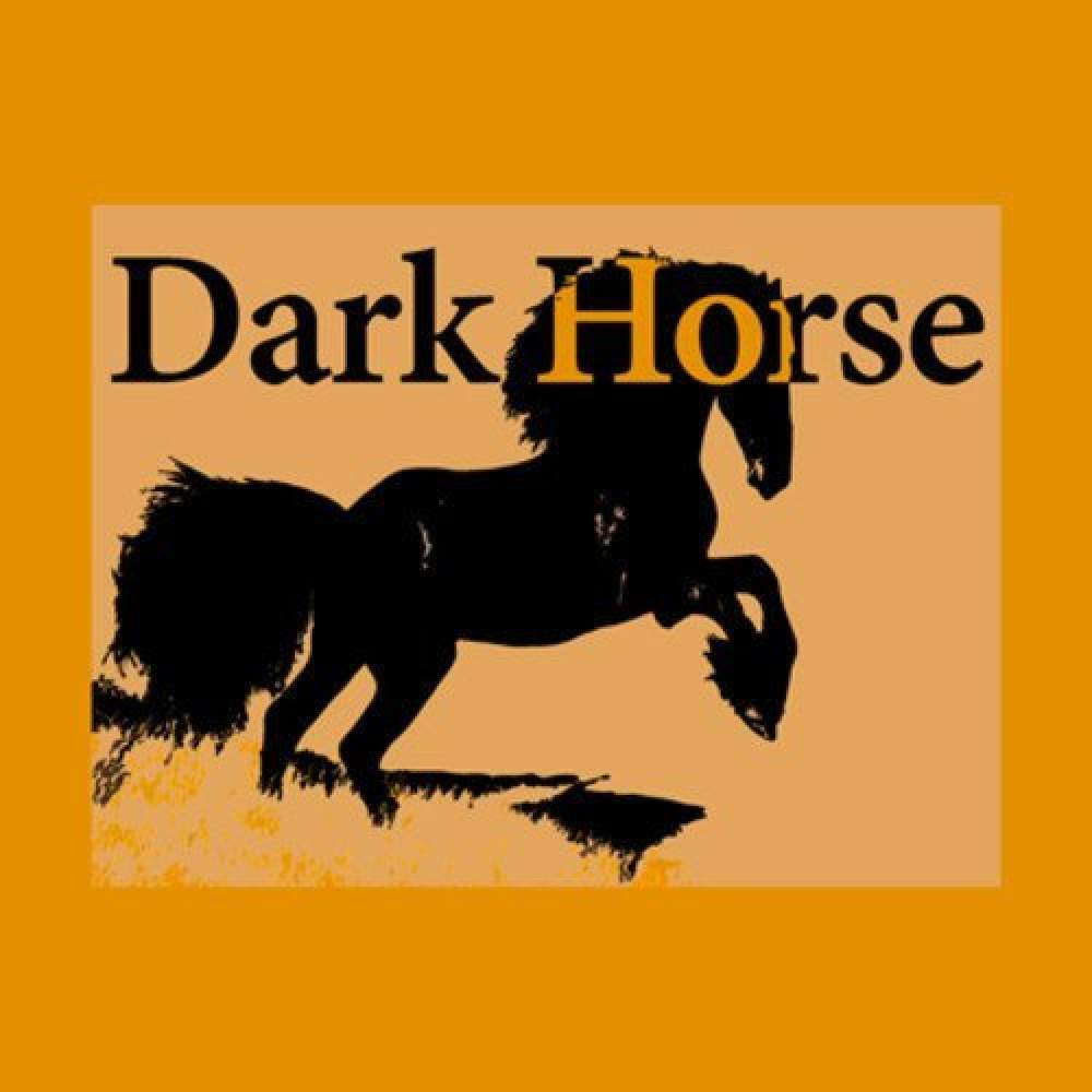 Dark horse x untouchable. Дарк Хорс. Дарк Хорс текст. Песня Dark Horse. Темная лошадка фразеологизм.