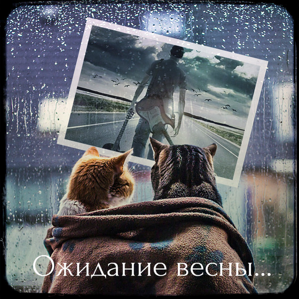 Включи ожидание. Режим ожидания весны. В ожидании весны. Режим ожидания весны включен. Ожидание.
